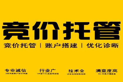 某行业SEM外包公司的成功实践与经验分享